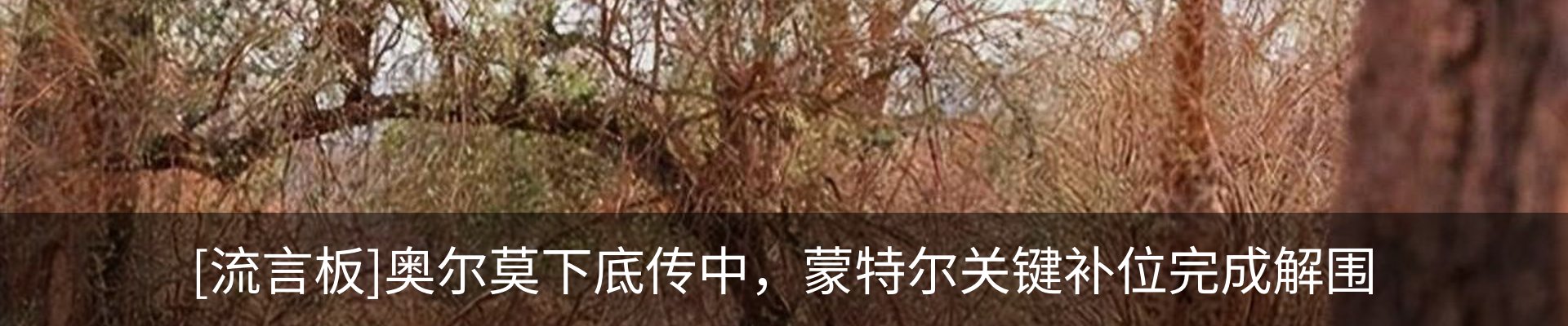 内页banner